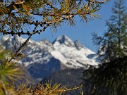 Anello del PIZZO BADILE (2044 m) da Piazzatorre l’8 ottobre 2020 - FOTOGALLERY
